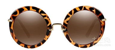 时尚与防护 揭秘热门太阳眼镜价格与选购指南